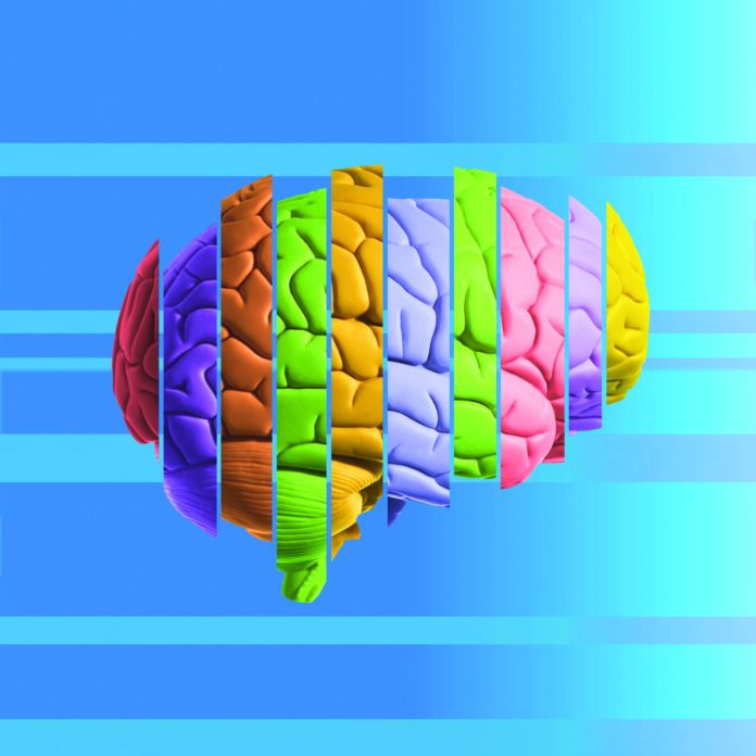 Compartmentalization - Brain bar graph