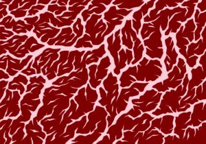Ultraprocessed Food Intake Associated with Fat in Muscles