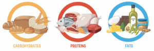 Understanding Macronutrients